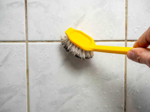 Best Water Damage Restoration  in Vandalia, MO