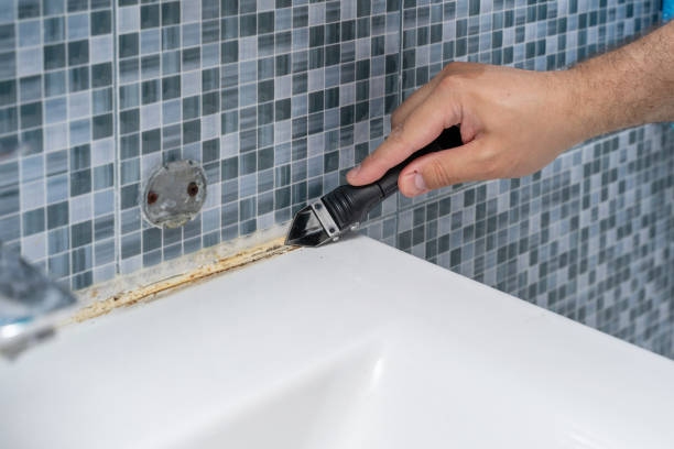 Best Residential Mold Removal  in Vandalia, MO
