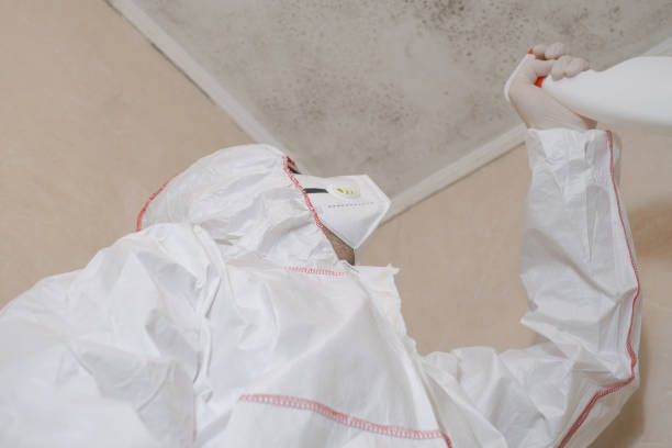 Best Residential Mold Removal  in Vandalia, MO